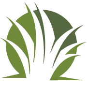 Lawn Aeration Service