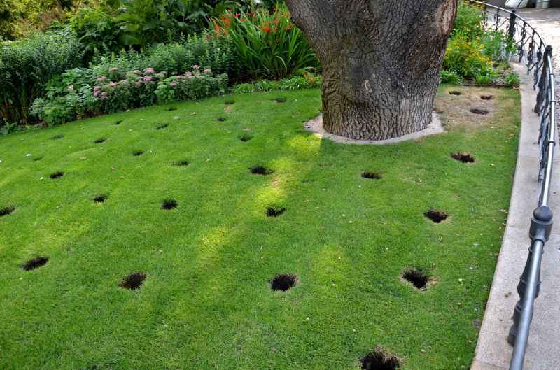 Lawn Aeration Cost Guide — Cost of Lawn Aeration