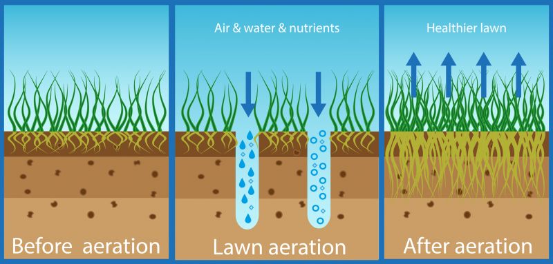 Post-Aeration Treatment