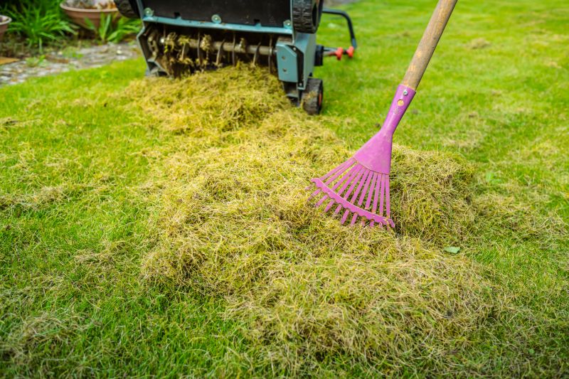 Post-Aeration Lawn Maintenance
