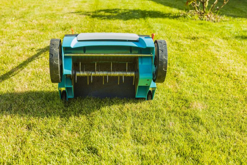 Lawn Aeration