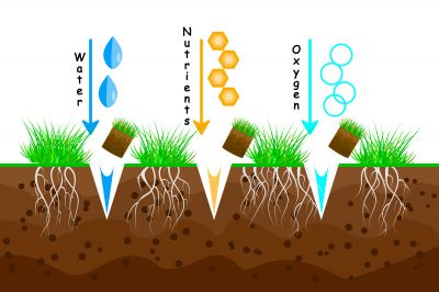 Aeration Allows More Air, Water, and Nutrients to Get Into the Soil!